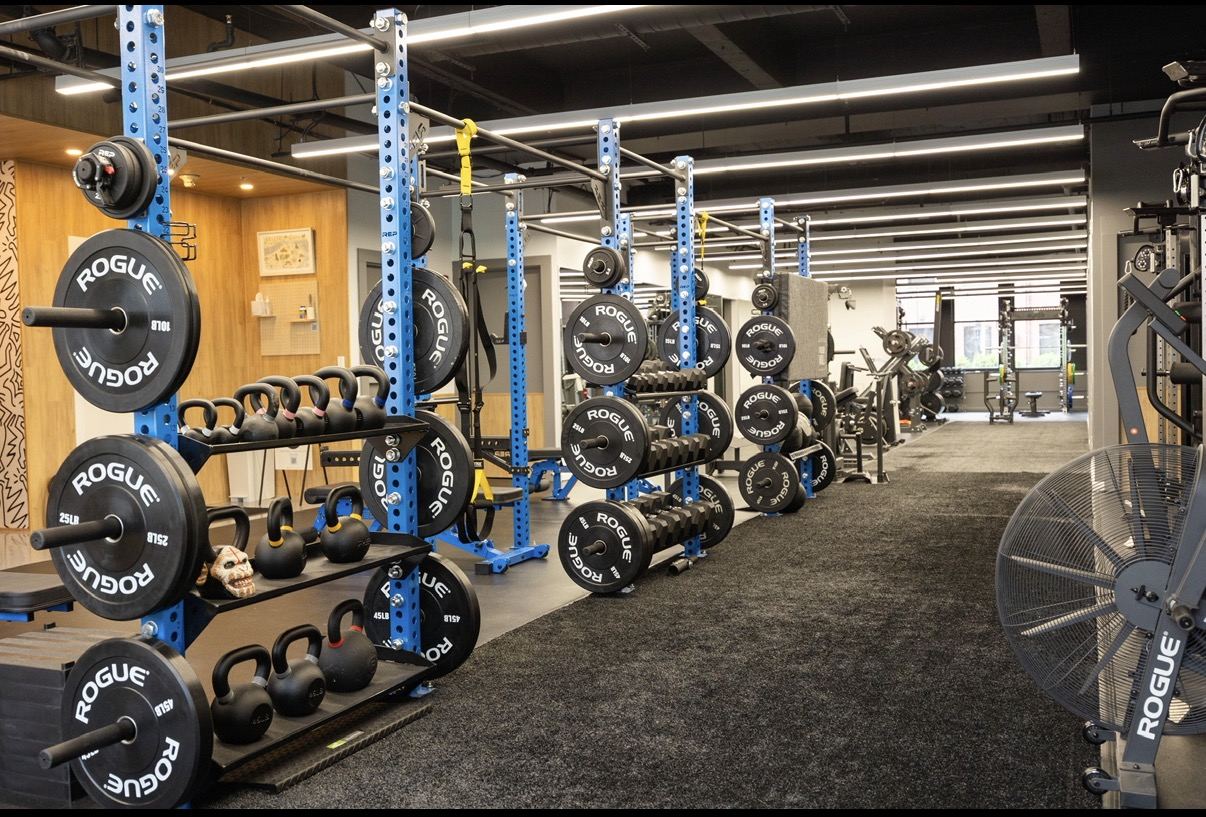 Blue racks with plates and kettlebells along the turf